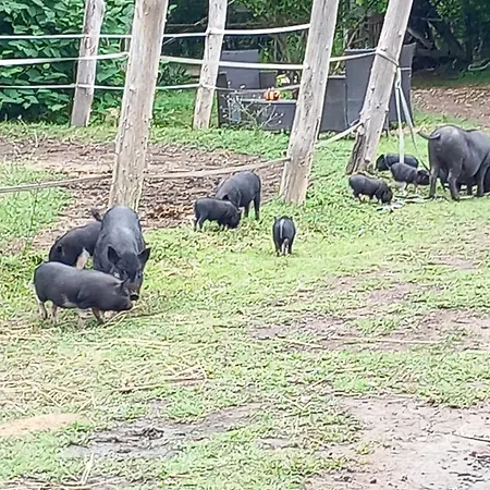 Horská chata Farm Haz